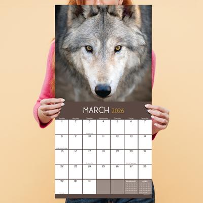 Show full view: 2026 Wolves Wall Calendar slide 5 of 5