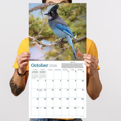 Show full view: 2026 Backyard Birds Wall Calendar slide 5 of 5