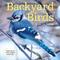 Show in main carousel: 2026 Backyard Birds Wall Calendar slide 3 of 5