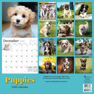 Show full view: 2026 Puppies Wall Calendar slide 2 of 5
