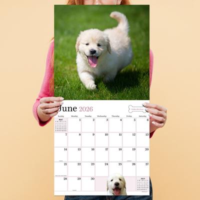 Show full view: 2026 Puppies Wall Calendar slide 5 of 5