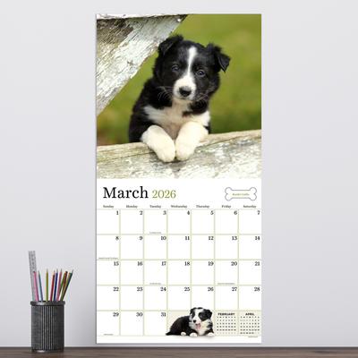 Show full view: 2026 Puppies Wall Calendar slide 4 of 5