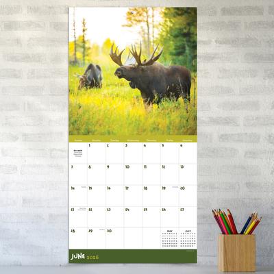 Show full view: 2026 Wild Wall Calendar slide 5 of 5