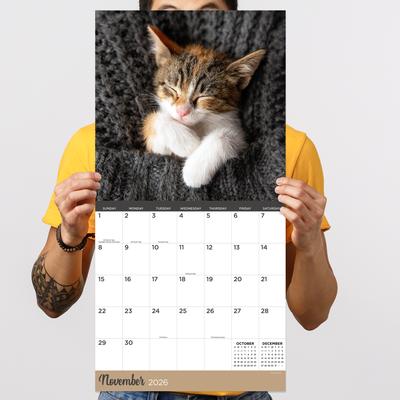 Show full view: 2026 Cat Dreams Wall Calendar slide 4 of 5