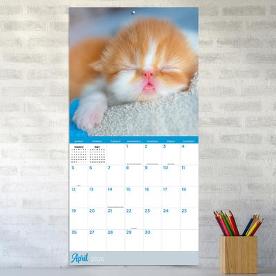Show full view: 2026 Cat Dreams Wall Calendar slide 5 of 5