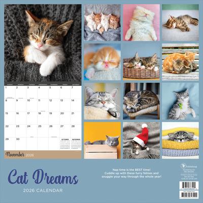 Show full view: 2026 Cat Dreams Wall Calendar slide 2 of 5