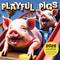 Show in main carousel: 2026 Playful Pigs Wall Calendar slide 3 of 5