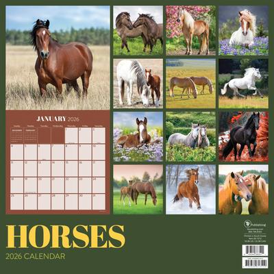 Show full view: 2026 Horses Wall Calendar slide 2 of 5