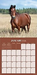 2026 Horses Wall Calendar