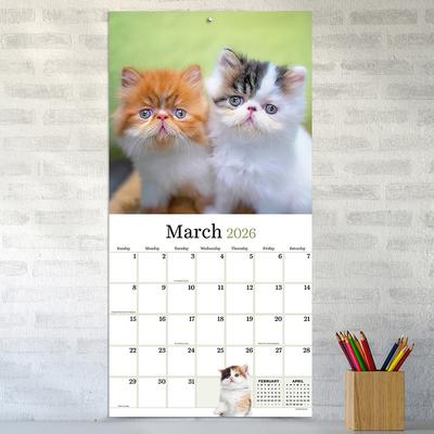 Show full view: 2026 Kittens Wall Calendar slide 5 of 5