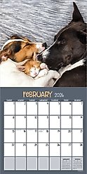 2026 Furry Friends Wall Calendar
