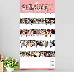 2026 Cat-A-Day Wall Calendar slide 2 of 5