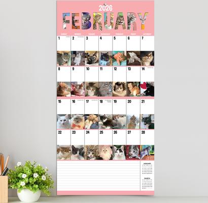 Show full view: 2026 Cat-A-Day Wall Calendar slide 5 of 6