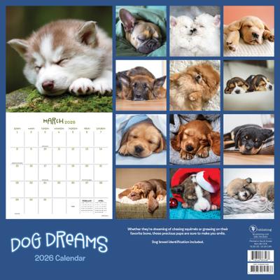 Show full view: 2026 Dog Dreams Wall Calendar slide 3 of 5