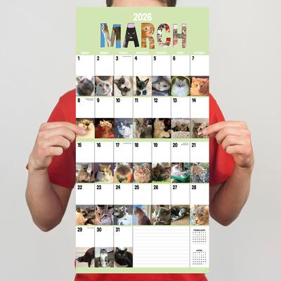 Show full view: 2026 Cat-A-Day Wall Calendar slide 4 of 6