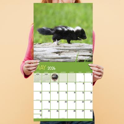 Show full view: 2026 Baby Animals Wall Calendar slide 5 of 5