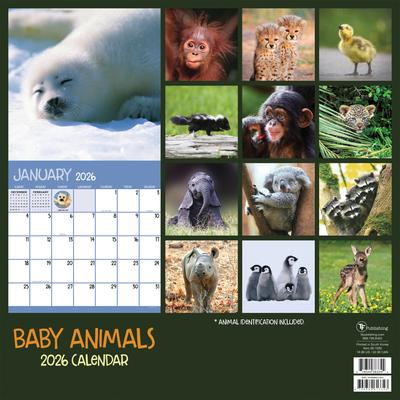 Show full view: 2026 Baby Animals Wall Calendar slide 2 of 5