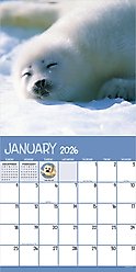 2026 Baby Animals Wall Calendar slide 1 of 5