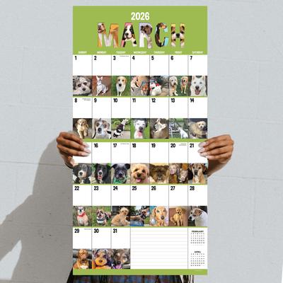 Show full view: 2026 Dog-A-Day Wall Calendar slide 2 of 5
