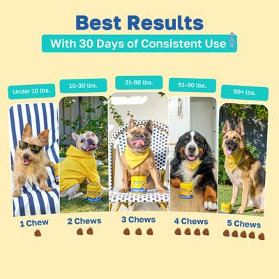 Show full view: Happy Paws Bladder Health Soft Chews Supplement for Dogs, 100 count slide 6 of 10