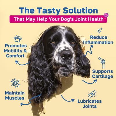 Show full view: Happy Paws Hip & Joint Soft Chews Supplement for Dogs, 100 count slide 3 of 10