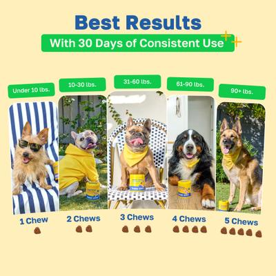 Show full view: Happy Paws Probiotic Soft Chews Supplement for Dogs, 100 count slide 6 of 10