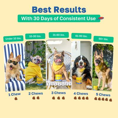 Show full view: Happy Paws Stop Scoot Anal Gland Support Soft Chews Supplement for Dogs, 100 count slide 6 of 10