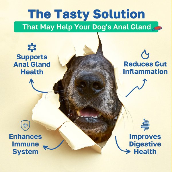 Happy Paws 10 in 1 Multivitamin Soft Chews Supplement for Dogs, 100 count