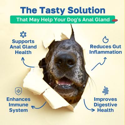 Show full view: Happy Paws Stop Scoot Anal Gland Support Soft Chews Supplement for Dogs, 100 count slide 3 of 10
