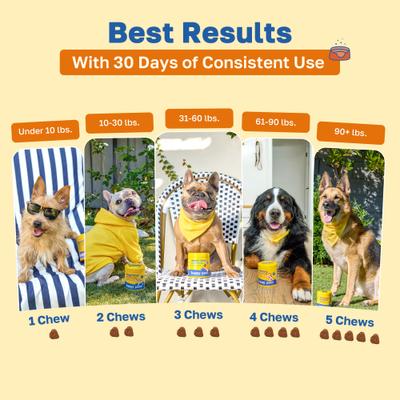 Show full view: Happy Paws No Poo Soft Chews Supplement for Dogs, 100 count slide 6 of 10