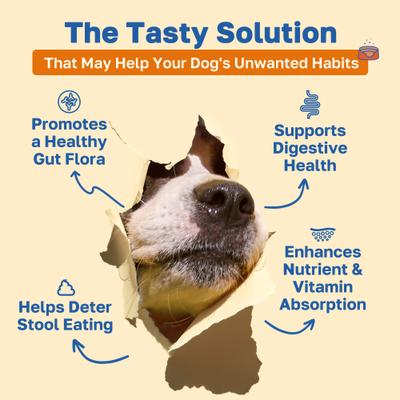 Show full view: Happy Paws No Poo Soft Chews Supplement for Dogs, 100 count slide 3 of 10