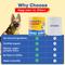 Show in main carousel: Happy Paws Allergy Soft Chews Supplement for Dogs, 100 count slide 5 of 10