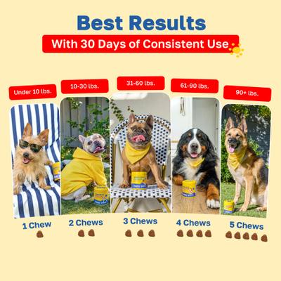 Show full view: Happy Paws Allergy Soft Chews Supplement for Dogs, 100 count slide 6 of 10