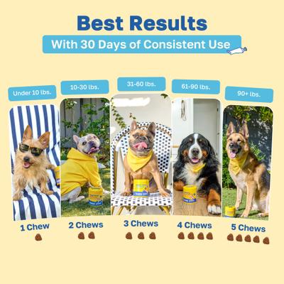 Show full view: Happy Paws Dental Health Soft Chews Supplement for Dogs, 100 count slide 6 of 9