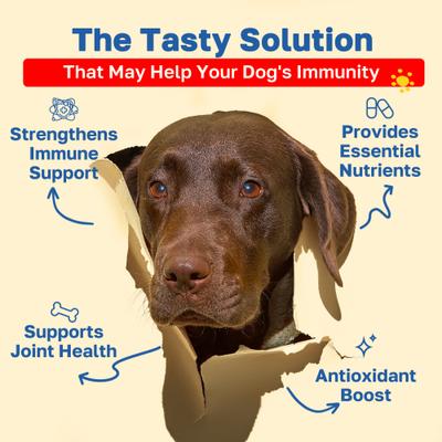Show full view: Happy Paws Allergy Soft Chews Supplement for Dogs, 100 count slide 3 of 10