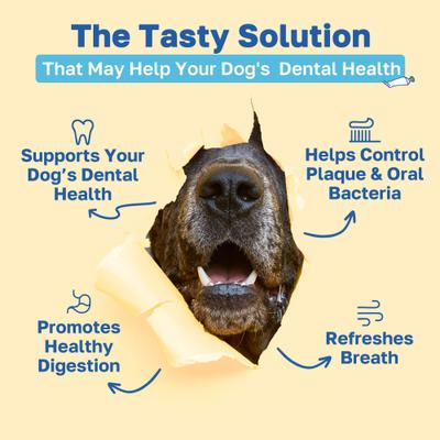 Show full view: Happy Paws Dental Health Soft Chews Supplement for Dogs, 100 count slide 3 of 9