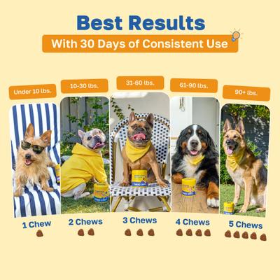 Show full view: Happy Paws Cognitive Soft Chews Supplement for Dogs, 100 count slide 6 of 10