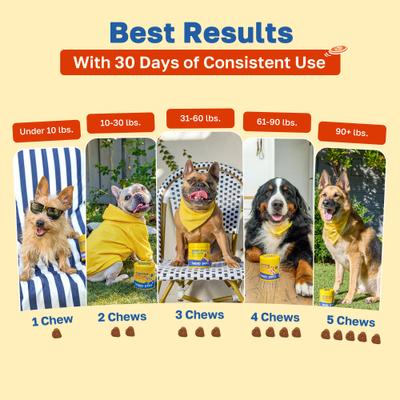 Show full view: Happy Paws 10 in 1 Multivitamin Soft Chews Supplement for Dogs, 100 count slide 6 of 10