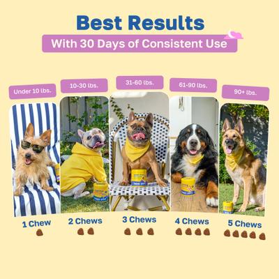Show full view: Happy Paws Calming Soft Chews Supplement for Dogs, 100 count slide 6 of 10