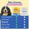 Show in main carousel: Happy Paws Calming Soft Chews Supplement for Dogs, 100 count slide 5 of 10