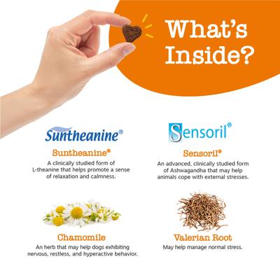 Show full view: Zesty Paws Wild Alaskan Salmon Oil Formula Liquid Skin & Coat Supplement, 32-oz bottle + Hemp Calming Bites Peanut Butter Flavored Soft Chews Composure & Relaxation Supplement for Dogs, 90 count slide 8 of 9