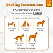 Show in main carousel: Zesty Paws Wild Alaskan Omega-3 Salmon Oil Liquid Skin & Coat Supplement for Dogs & Cats, 32-fl oz bottle slide 6 of 10