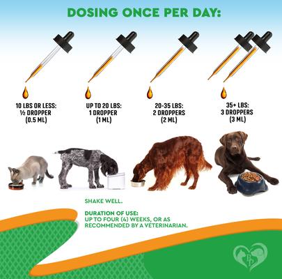 Show full view: Beloved Pets Oral Flea & Tick Support Multivitamin Supplement for Dogs & Cats, 60-ml bottle slide 6 of 8