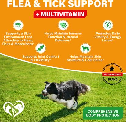 Show full view: Beloved Pets Natural Flea & Tick Support + Complex Multivitamin Chicken Flavored Soft Chew for Skin & Coat Supplement for Dogs, 10-oz jar slide 2 of 7