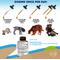 Show in main carousel: Beloved Pets Natural Intestinal Defense with Probiotic for Internal Health & Antioxidant in Cats & Dogs, 2-fl oz bottle slide 7 of 9
