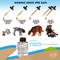 Show in main carousel: Beloved Pets DEWO Anti-Parasitic Liquid Digestive Aid for Dogs & Cats, 2-fl oz bottle slide 7 of 9
