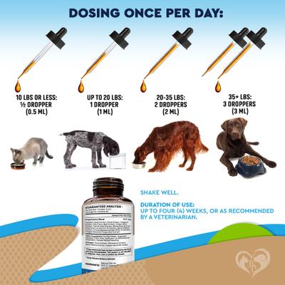 Show full view: Beloved Pets DEWO Anti-Parasitic Liquid Digestive Aid for Dogs & Cats, 2-fl oz bottle slide 7 of 9