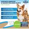 Show in main carousel: Beloved Pets Natural Intestinal Defense with Probiotic for Internal Health & Antioxidant in Cats & Dogs, 2-fl oz bottle slide 2 of 9