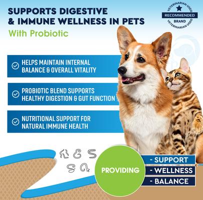 Show full view: Beloved Pets Natural Intestinal Defense with Probiotic for Internal Health & Antioxidant in Cats & Dogs, 2-fl oz bottle slide 2 of 9