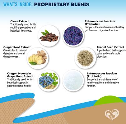 Show full view: Beloved Pets Natural Intestinal Defense with Probiotic for Internal Health & Antioxidant in Cats & Dogs, 2-fl oz bottle slide 4 of 9